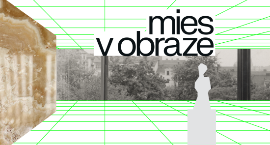 Mies v obraze